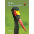 Birds of Kruger National Park