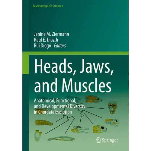 Heads, Jaws, and Muscles: Anatomical, Functional, and Developmental Diversity in Chordate Evolution