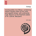 Inexhaustible Iron Mines: Containing Twenty Square Miles of Iron Ores, and Superb Timber, with Anthracite Coal: Report on the Freehold Estate of