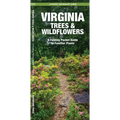 Virginia Trees & Wildflowers: An Introduction to Familiar Species
