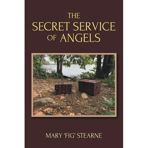 The Secret Service of Angels
