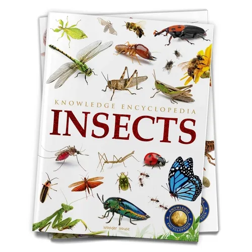 Animals: Insects
