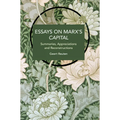 Essays on Marx's Capital