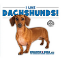 I Like Dachshunds!