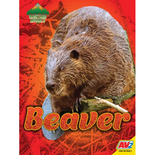 Beaver