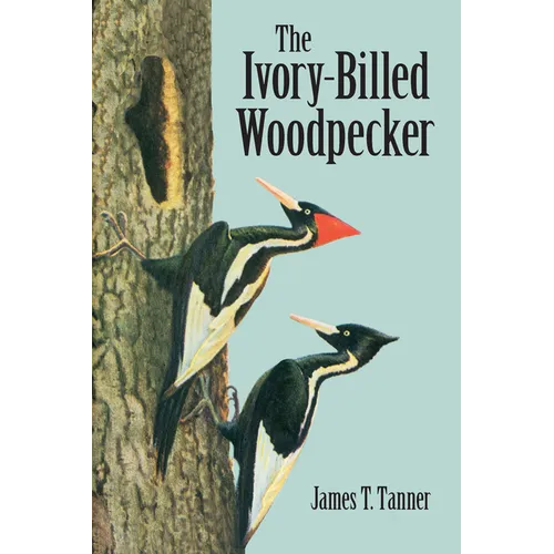 The Ivory-Billed Woodpecker