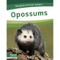 Opossums