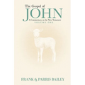 The Gospel of John A Commentary on the New Testament Volume 1