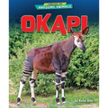 Okapi