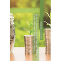 Debt-for-Nature Swaps: Financial Solutions for Sustainability and Climate Action