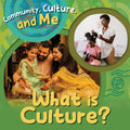 What Is Culture?