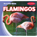 Flamingos