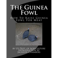 The Guinea Fowl: How To Raise Guinea Fowl For Meat