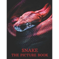 Snake: The Picture Book of Amazing Snake for Snake Lovers, Seniors, Dementia, and Alzheimer's.