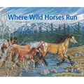 Where Wild Horses Run