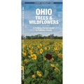 Ohio Trees & Wildflowers: A Folding Pocket Guide to Familiar Plants