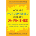 You Are Not Depressed. You Are Un-Finished.: Use Feelings of Depression and Anxiety to Fuel a Soaring Life.
