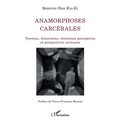 Anamorphoses carcérales: Torsions, distorsions, rétorsions perceptives et perspectives curieuses
