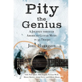 Pity the Genius: A Journey through American Guitar Music in 33 Tracks