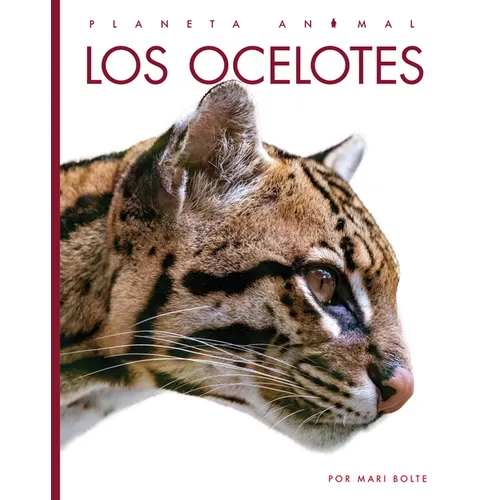 Los Ocelotes