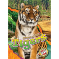 Tigers