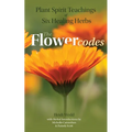 Plant Spirit Teachings of Six Healing Herbs