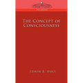 The Concept of Consciousness
