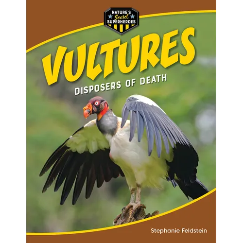 Vultures: Disposers of Death