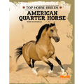 American Quarter Horse