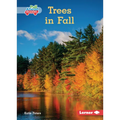 Trees in Fall