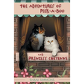The Adventures of Peek-A-Boo and Princess Cheyenne