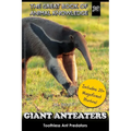 Giant Anteaters: Toothless Ant Predator
