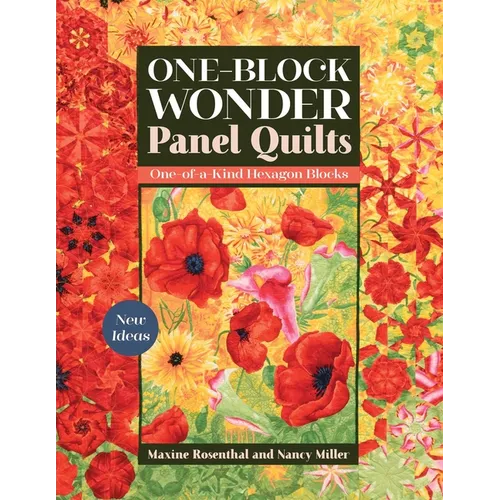 One-Block Wonder Panel Quilts: New Ideas; One-Of-A-Kind Hexagon Blocks