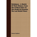 Welshmen - A Sketch of Their History, from the Earliest Times to the Death of Llywelyn, the Last Welsh Prince