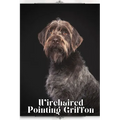 Wirehaired Pointing Griffon: Dog breed overview and guide