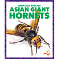 Asian Giant Hornets
