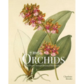 Rhs Orchids