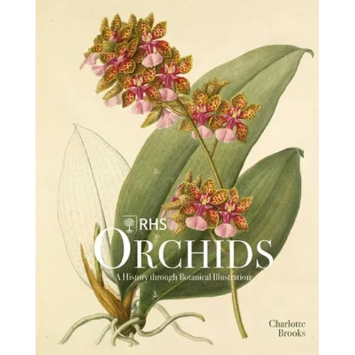 Rhs Orchids