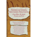 American Crisis, Southern Solutions: From Where We Stand, Promise and Peril
