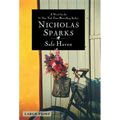 Safe Haven (Large Print Edition)