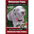 Weimaraner Puppy Training Book for Weimaraner Puppies By BoneUP DOG Training: Are You Ready to right way Bone Up? Easy Training * Fast Results Weimara