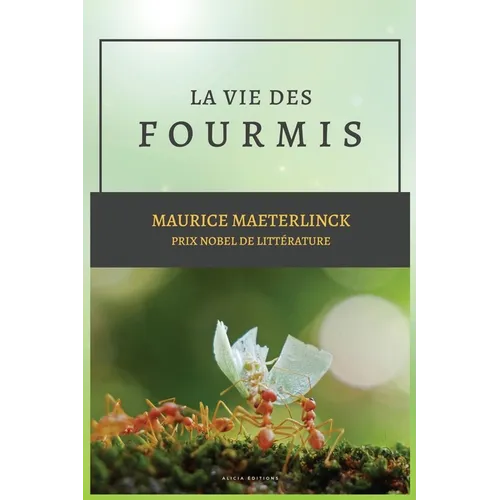 La vie des Fourmis