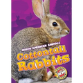 Cottontail Rabbits