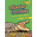 Saltwater Crocodiles: Nature's Biggest Reptile