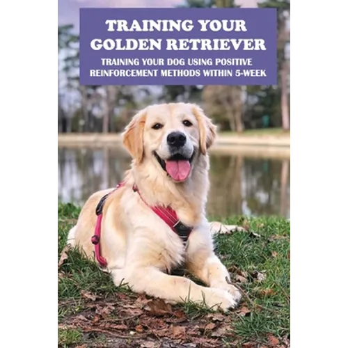Training Your Golden Retriever: Training Your Dog Using Positive Reinforcement Methods Within 5-Week: Benefits Of Positive Reinforcement