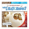 What Is Hatching?