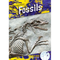 Fossils