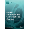 Protein Adsorption and Conformational Changes