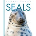 Seals