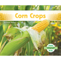 Corn Crops